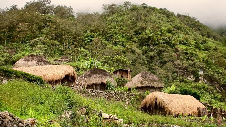 Polri Selidiki Dugaan Aliran Dana Desa ke Kelompok Bersenjata Papua