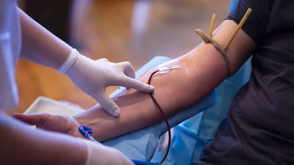 25 Link Twibbon Hari Donor Darah Sedunia 2023 dan Temanya