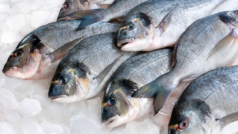 Cara Hilangkan Bau Amis pada Ikan dan Daging Ayam: Bisa Pakai Garam