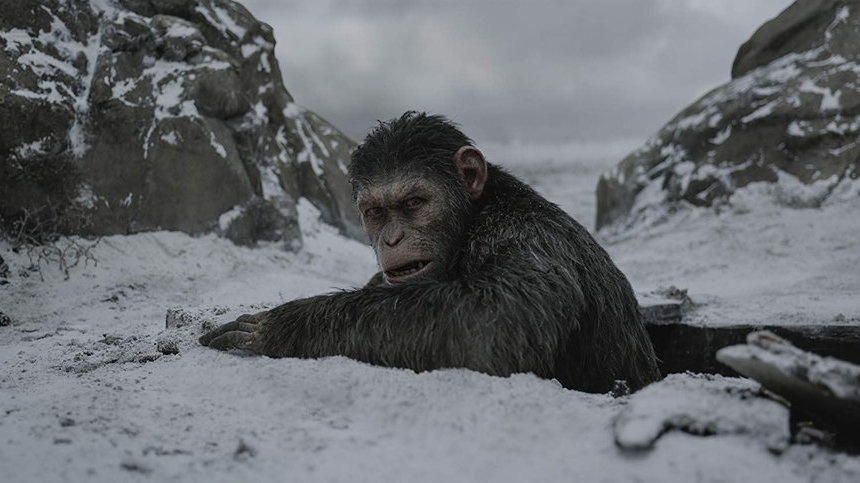 Sinopsis War for the Planet of the Apes di GTV Malam Ini Jam 22.00