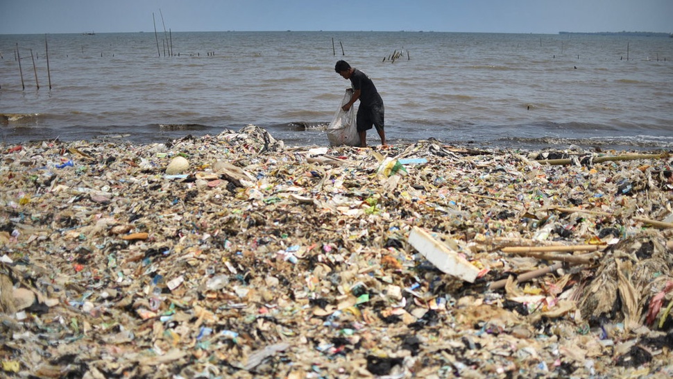 Kemenko Maritim: 80 Persen Ikan di Laut Indonesia Makan Plastik