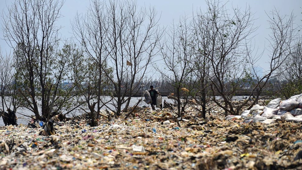 2019/11/21/sampah-pantai-tanjung-burung-tirto-mico-5.jpg