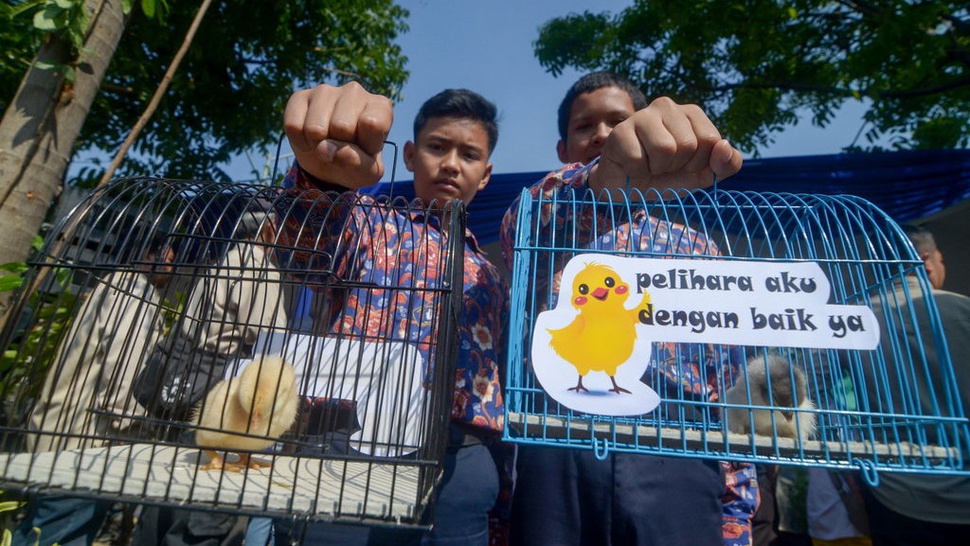 Program Pemeliharaan Anak Ayam akan Jadi Penilaian Siswa di Bandung