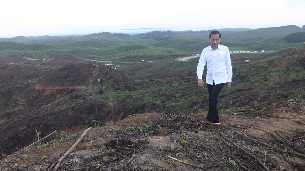 Istana Klaim Proyek IKN Terus Jalan meski Masa Jabatan Jokowi Habis