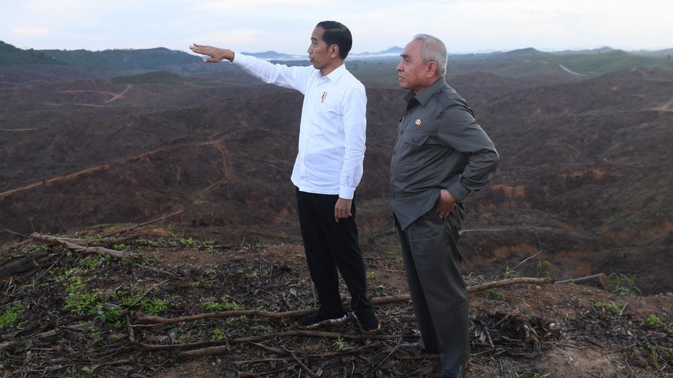 Di Balik Ambisi Jokowi Bangun Ibu Kota: Abaikan Dampak Lingkungan?