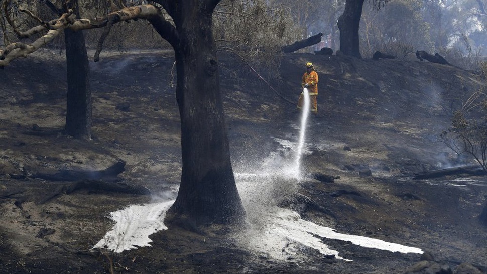Cuaca Australia Lebih Dingin, Kebakaran Hutan Diharapkan Mereda