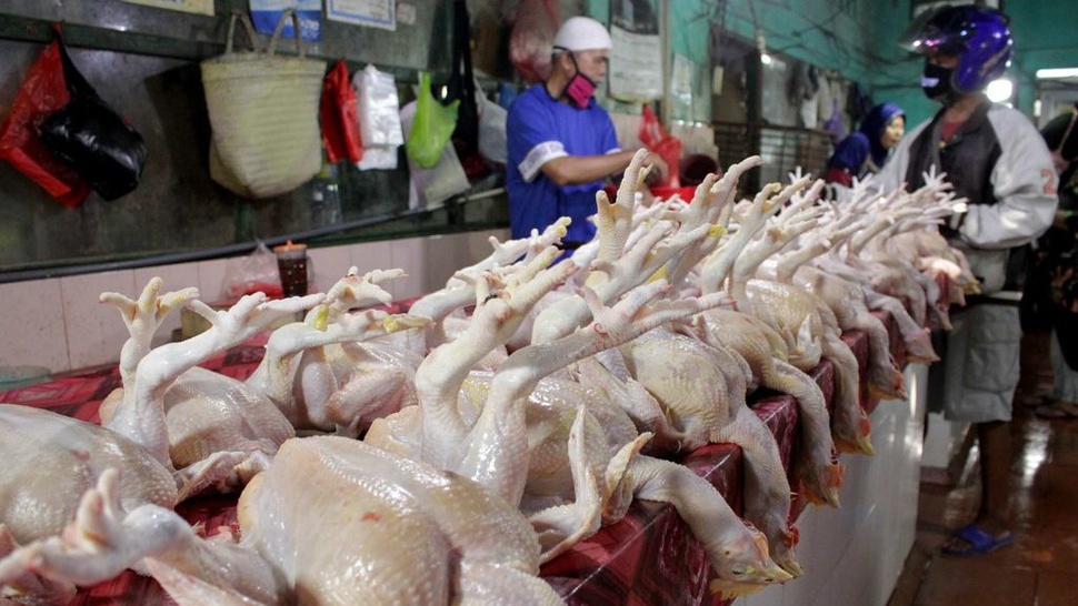 Daging Ayam, Cabai dan Tiket Pesawat Sumbang Inflasi November 2020