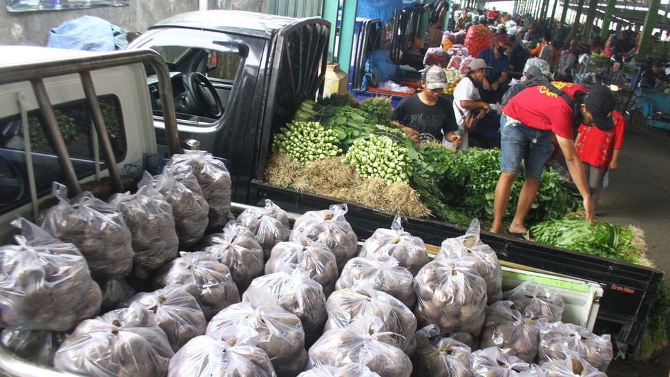 Indonesia Ekspor Sayuran tapi Masih Impor Bawang Putih dan Kentang