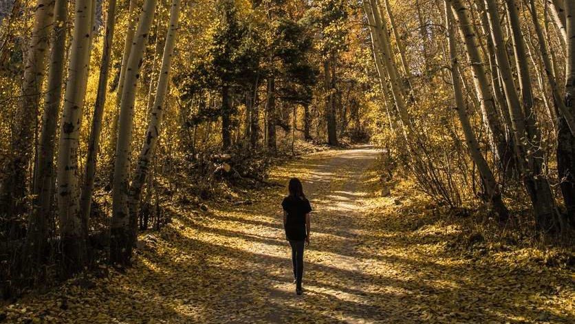 Cara Melakukan Meditasi Berjalan yang Bermanfaat Jernihkan Pikiran