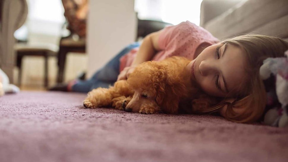 Tips Tidur di Lantai dengan Posisi yang Benar untuk Kesehatan