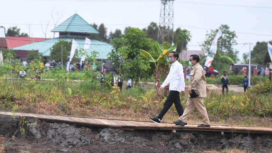 Jokowi Minta Kepala Daerah Bantu Percepat Izin Proyek Food Estate