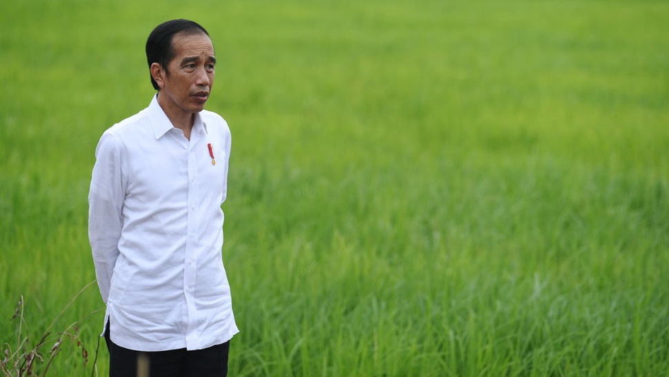 Jokowi Ingatkan Lagi Para Menteri Disiplin Pakai Masker