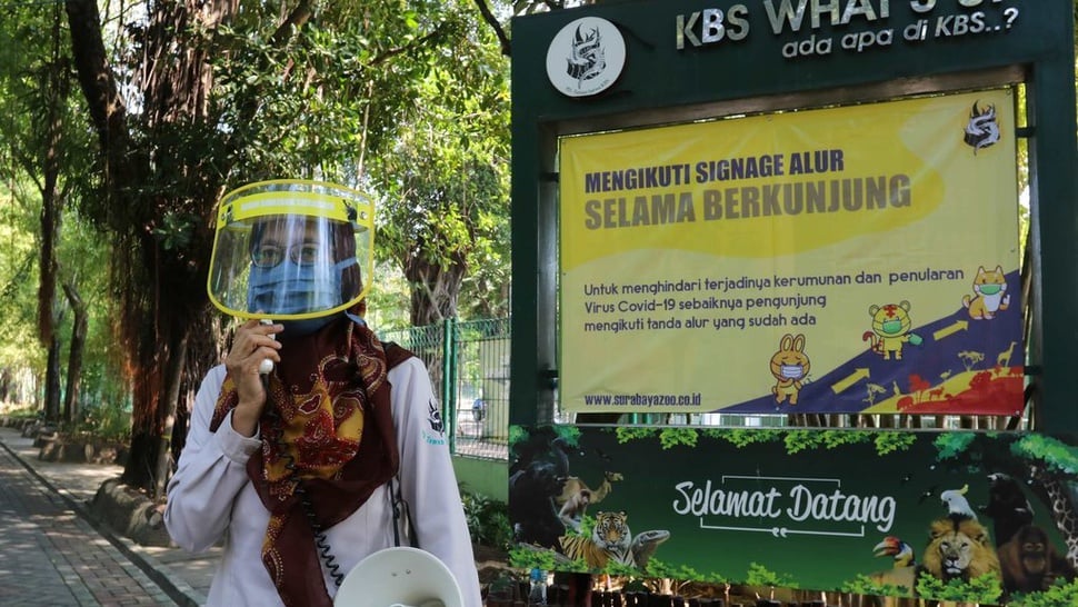Info Kebun Binatang Surabaya Kapan Buka Kembali saat Corona Mereda