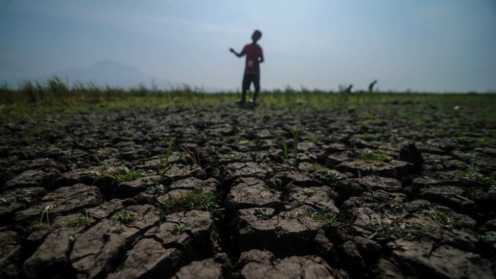 Cegah Kekeringan Imbas El Nino, Gus Imin Dorong Modifikasi Cuaca