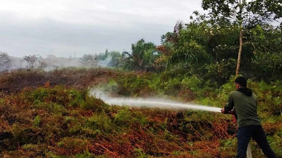 6 Hektare Lahan Gambut di Aceh Barat Terbakar