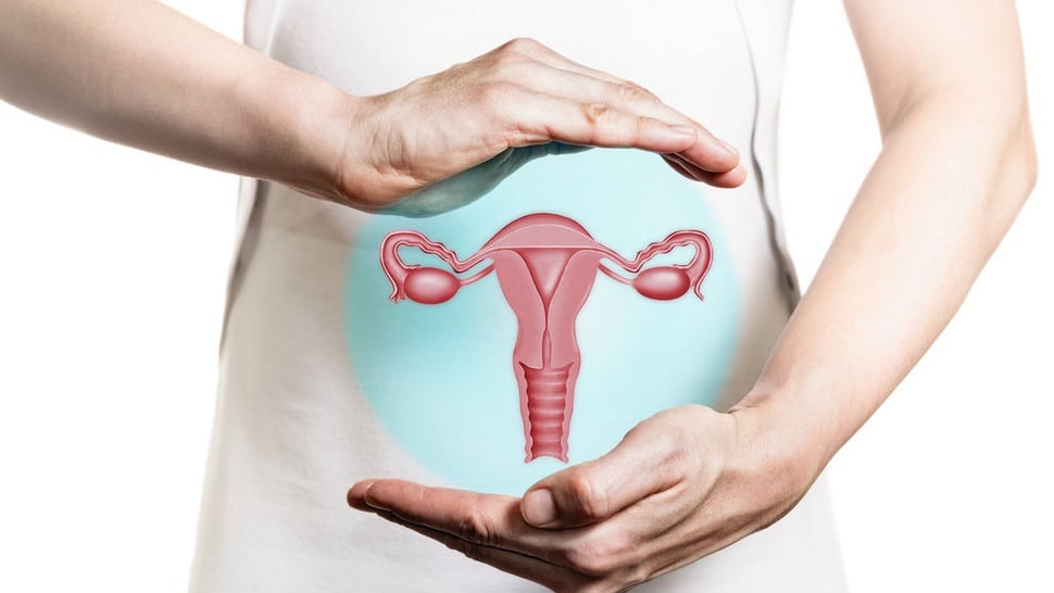 Organ Reproduksi Wanita & Fungsinya: dari Vulva hingga Vagina