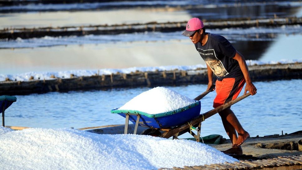 Sering Impor, Jokowi: Kualitas Garam Kita di Bawah Standar Industri