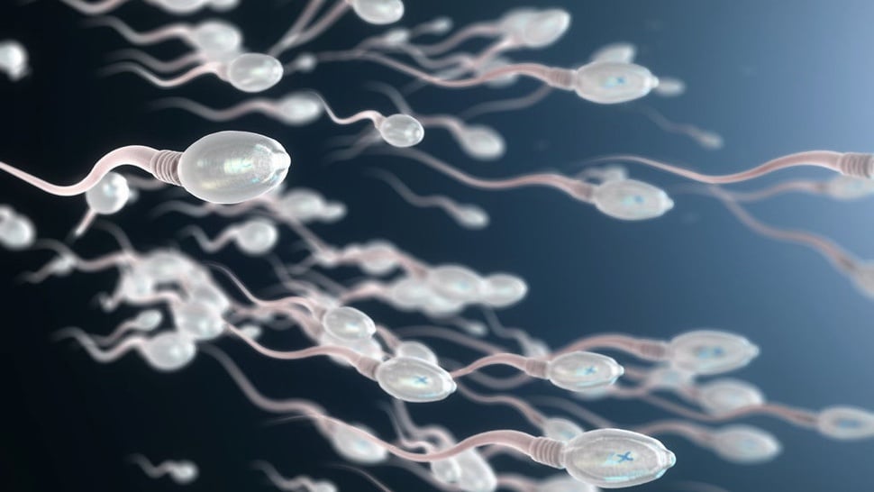 Cara Jaga Kualitas Sperma: Kurangi Stres, Perhatikan Asupan Nutrisi