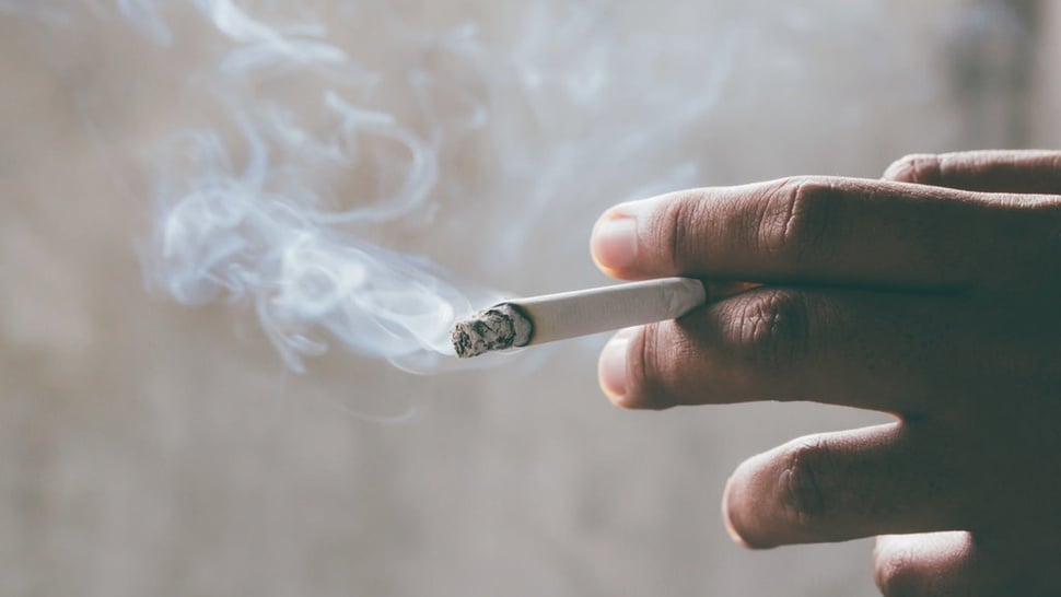 Fungsi Nikotin bagi Tubuh: Dampak, Bahaya, & Manfaatnya