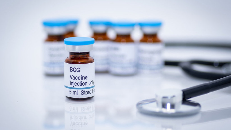 Mengenal Vaksin BCG yang Berpotensi Hentikan Virus Corona COVID-19