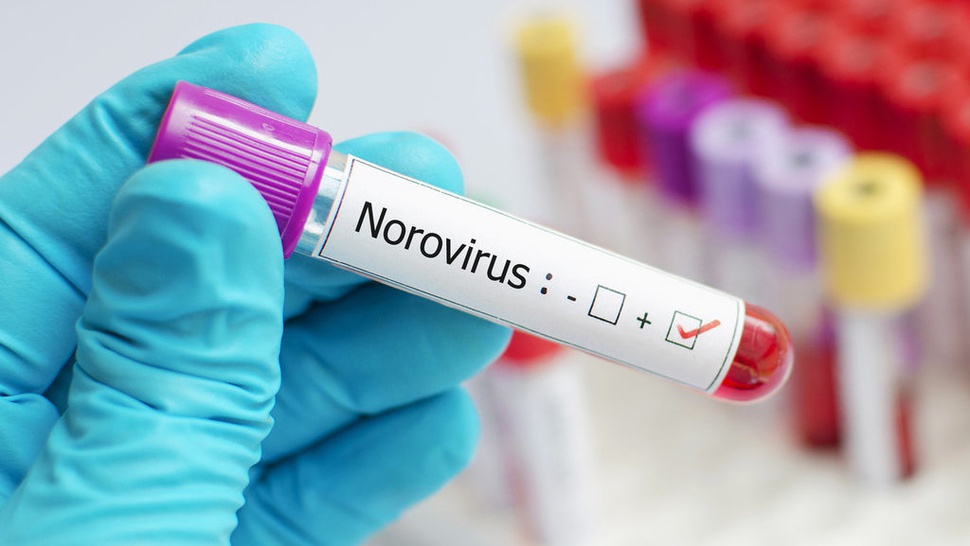 Norovirus Serang Cina: Kenali Gejala, Penularan dan Cara Cegah