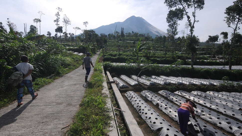 Gunung Merapi Siaga, TRC BPBD DIY: Kapasitas Barak Dikurangi 50%