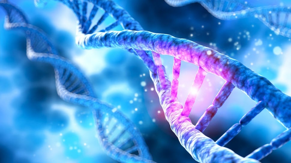 Apa Itu Gen, Kromosom dan DNA & Bagaimana Cara Kerjanya?