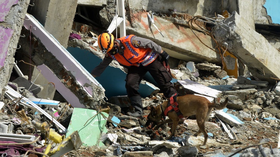 Info BMKG di Sulbar Hari Ini: Ada 31 Gempa Susulan Termasuk Mamuju