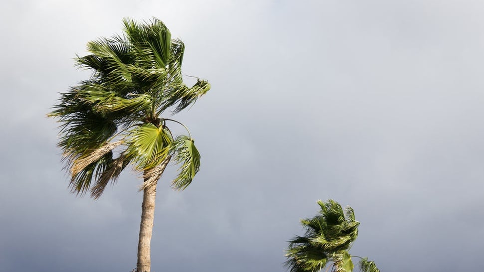 Benarkah Ada Potensi Badai Tropis di NTT & Penjelasan Lengkap BMKG
