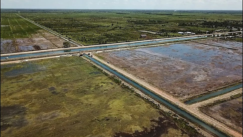 PUPR Kebut Pembangunan Jaringan Air Baku untuk Food Estate