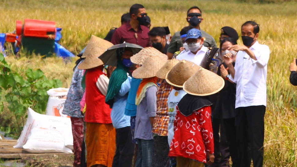 Jokowi Minta Akses Petani Dapatkan KUR Pertanian Dipermudah