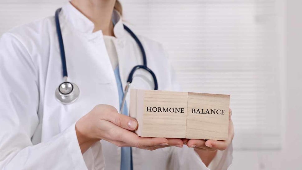 Hormon Steroid: Fungsi, Cara Kerja, Letak, dan Jenisnya