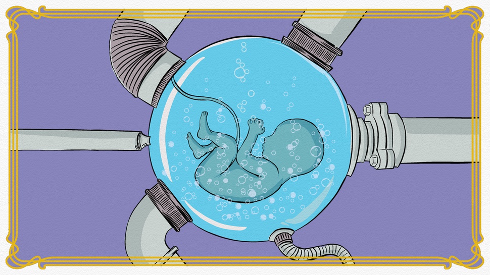 Dari Cawan Petri ke Rahim: Kelahiran Louise Joy Brown, Bayi Tabung