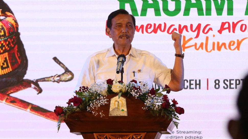 Jokowi Tunjuk Luhut jadi Ketua Tim Gernas BBI, BMI Beri Catatan