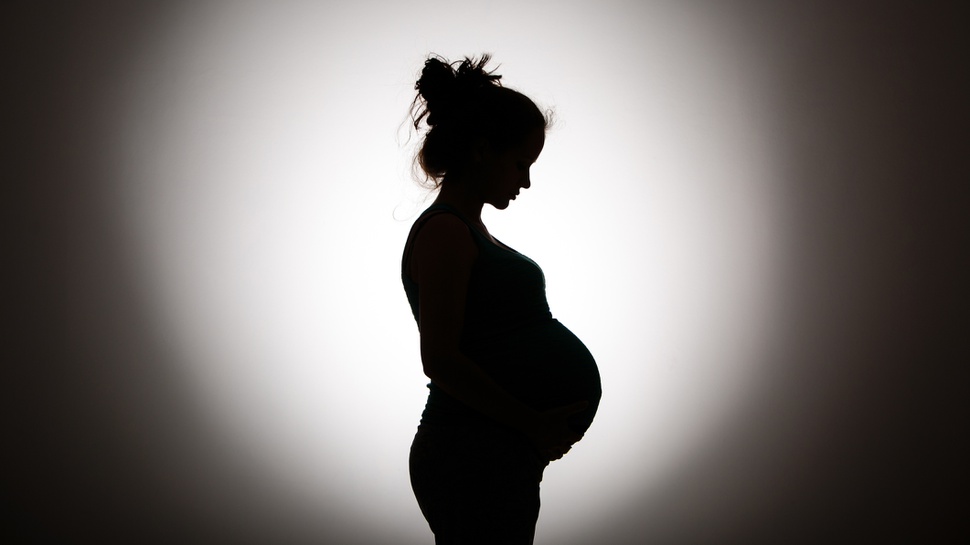 Bisakah Surrogate Mother di Indonesia & Apa Itu Metode Titip Janin?