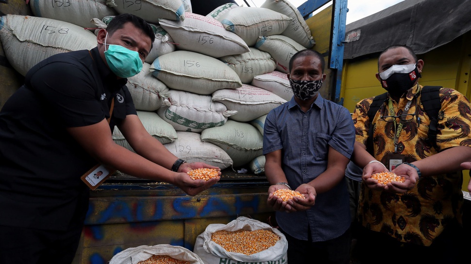 Imbas Perubahan Iklim, Jokowi Minta Produksi Jagung Ditingkatkan
