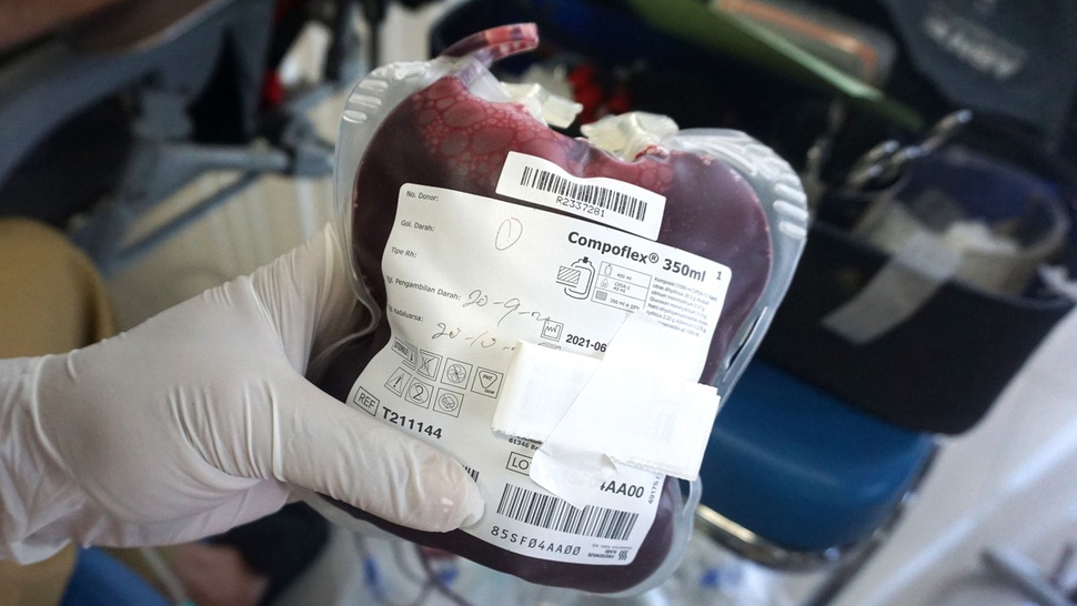 Tema Hari Donor Darah Sedunia 2022 yang Diperingati 14 Juni