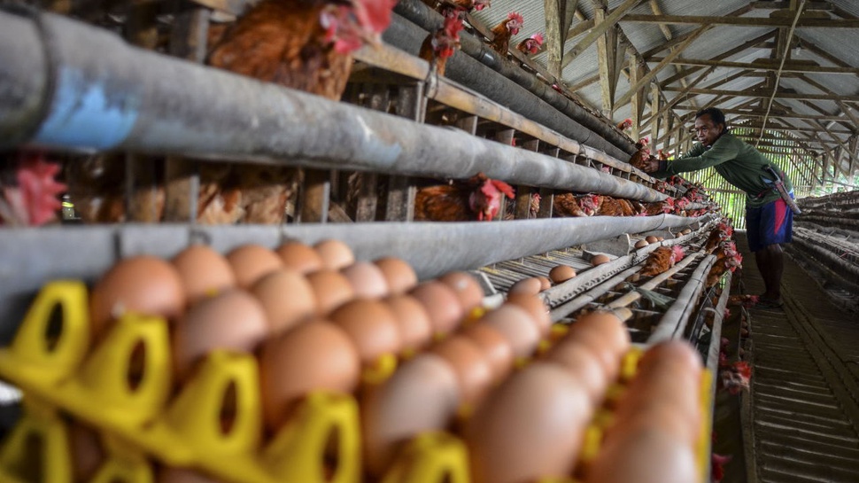 BPS: Penyebab Deflasi September 2021 Dipicu Harga Telur Ayam Turun