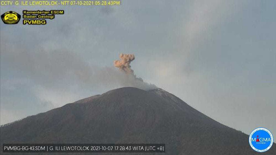 Gunung Ile Lewotolok NTT Erupsi 26 Kali dalam Sehari