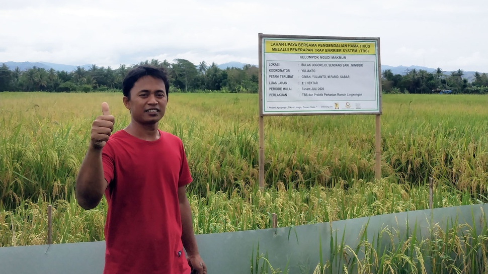 Nestle Indonesia & IRRI Kerja Sama Kurangi Emisi Produksi Beras