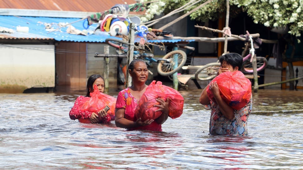 Banjir Kalimantan akibat Lingkungan Rusak: Tak Cukup Penghijauan
