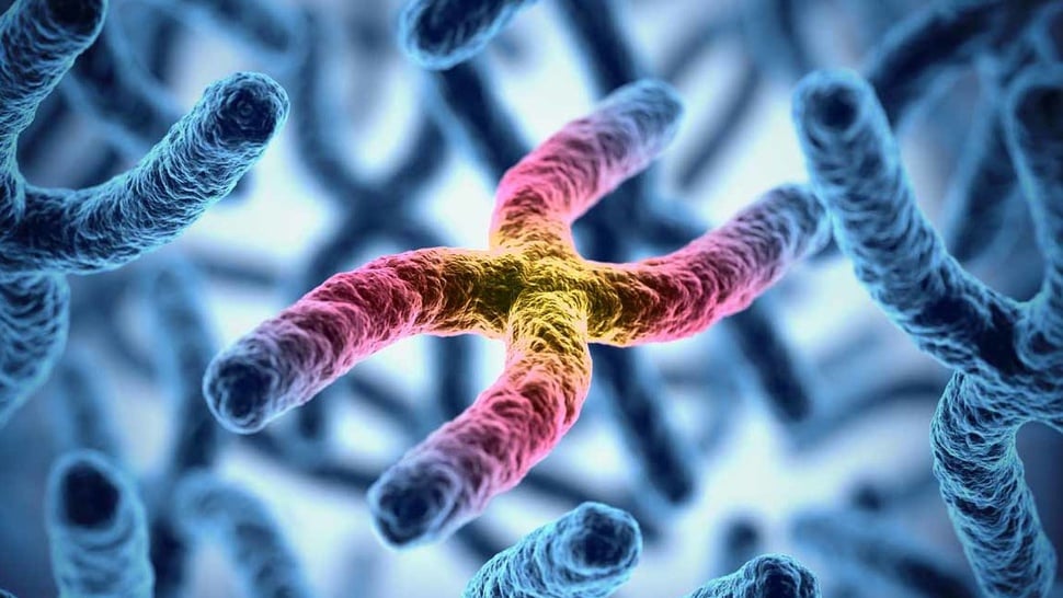 Apa Itu Mutasi Kromosom, Penyebab, dan Jenis-Jenisnya