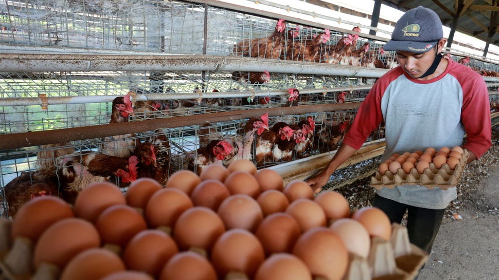 Harga Pangan 15 Maret: Telur, Cabai dan Daging Sapi Naik