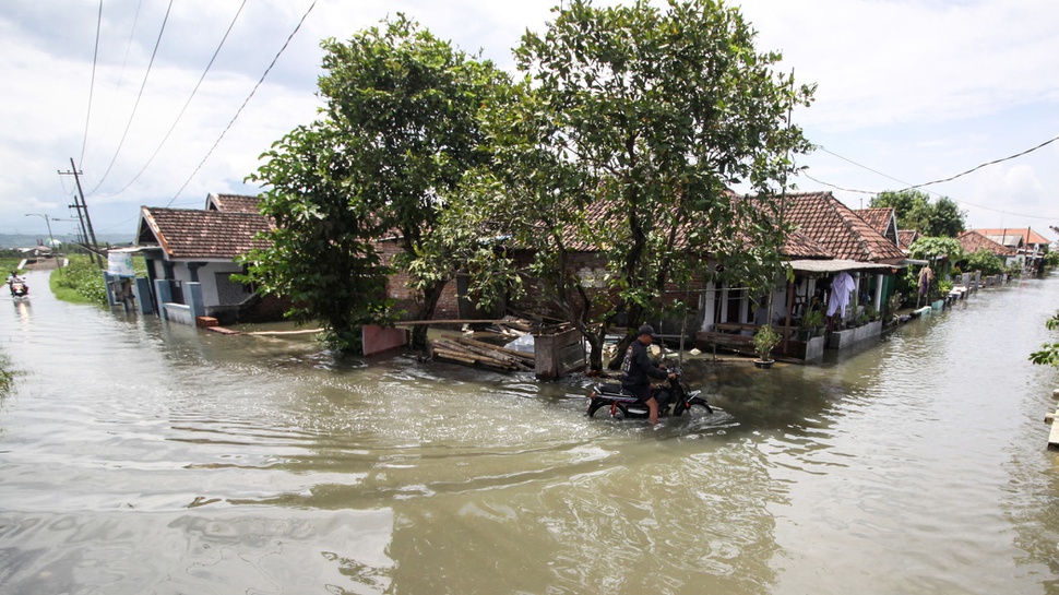 Update Banjir Pasuruan-Jember Hari Ini & Daftar Desa Terendam Air