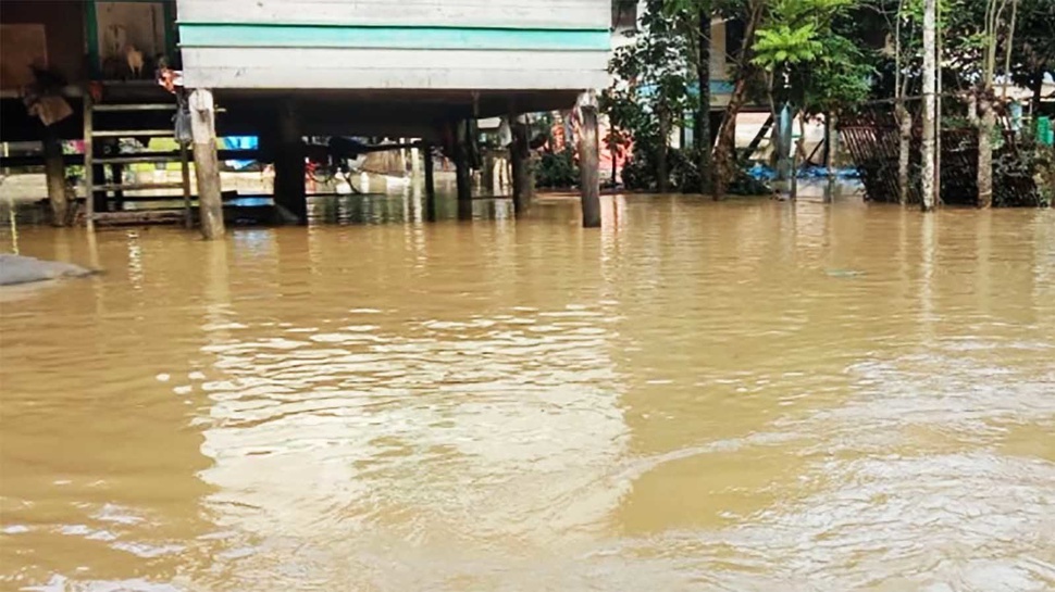 Banjir Pidie Jaya Aceh: Tujuh Kecamatan Terendam