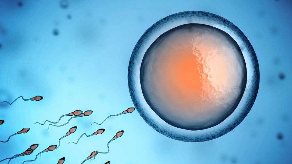 Apa Itu Pembekuan Sel Telur atau Oocyte Cryopreservation?