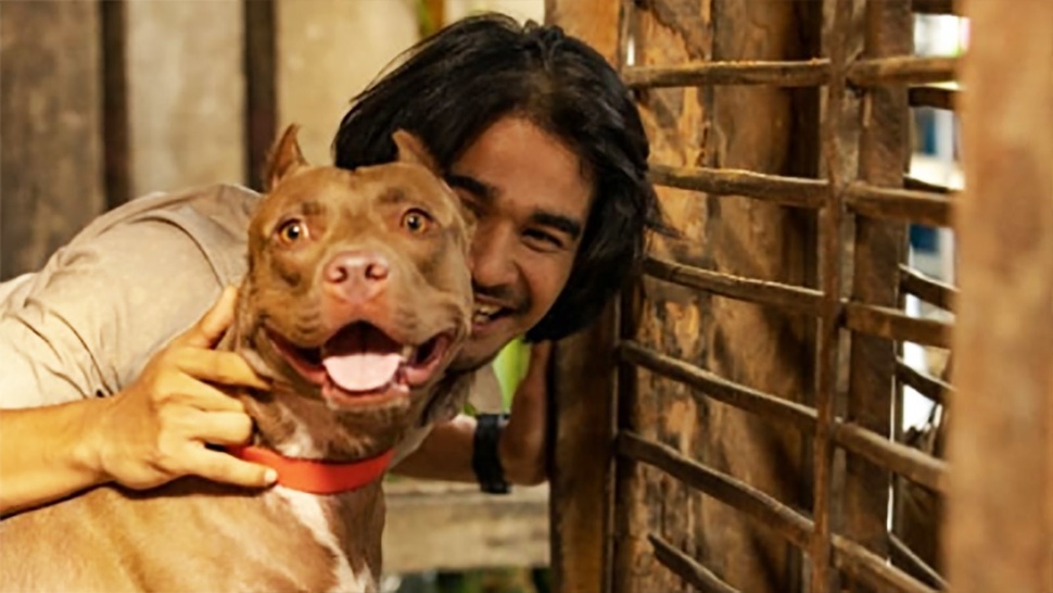 Sinopsis Marley, Film Indonesia Pertama dengan Tokoh Utama Anjing