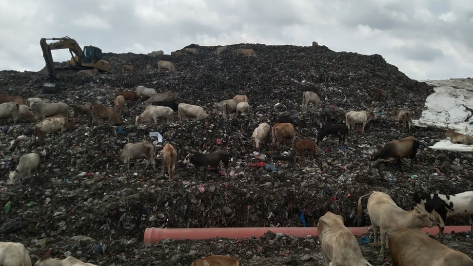 Mendaki Gunungan Sampah dan Masalah Lama di TPST Piyungan Yogya