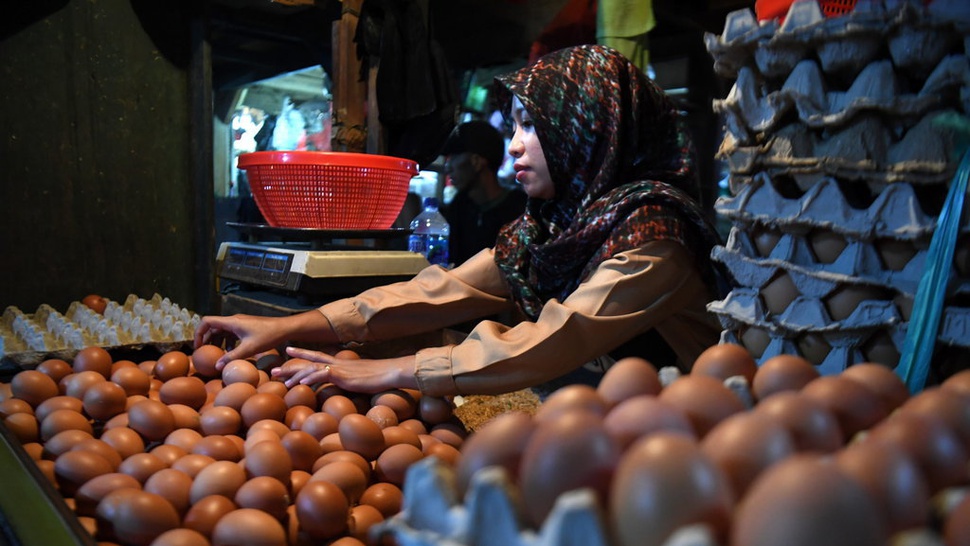 Update Harga Pangan: 1 Kg Telur Lebih Mahal dari Satu Ekor Ayam