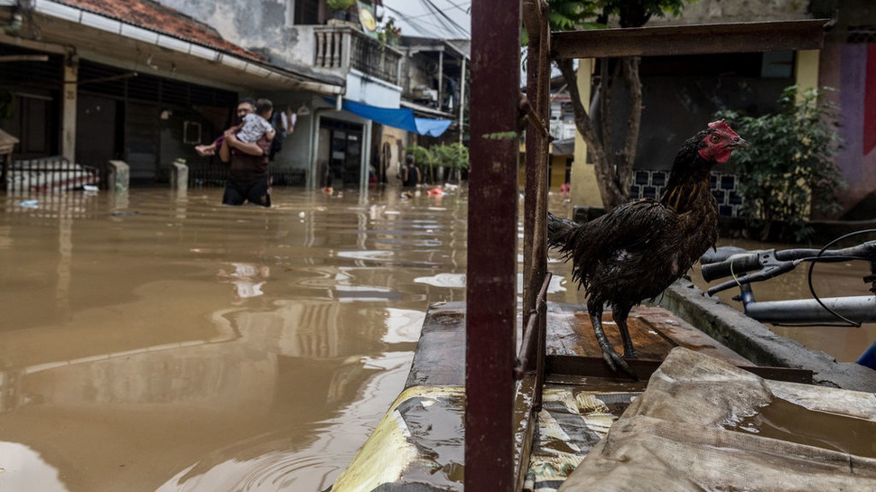 Tim Gabungan Evakuasi  Pengungsi Banjir  Di Jakarta